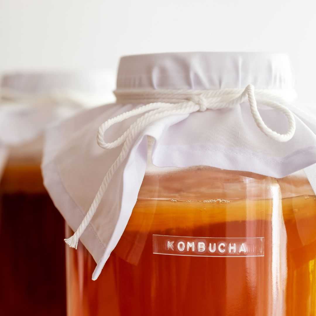 Minuman Kombucha untuk Ibu Hamil dan Menyesui, Aman?